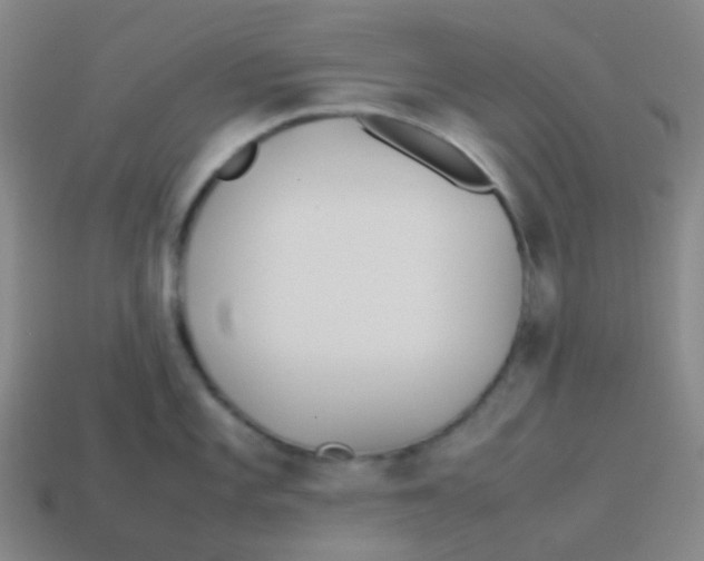 X0000113891101200910221411