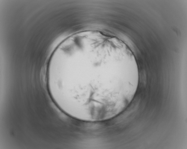 X0000113891103200910221411