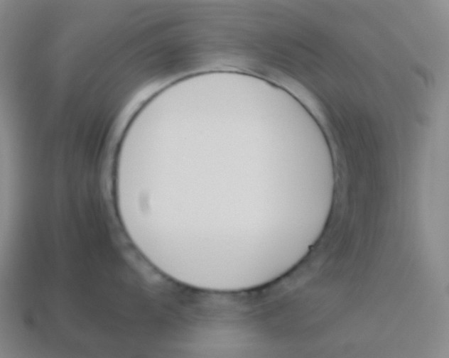 X0000113891104200910221411
