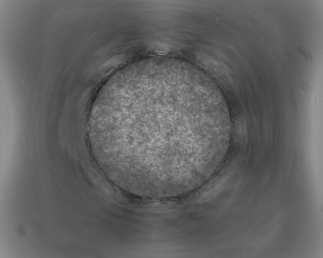 X0000113891105200910221410