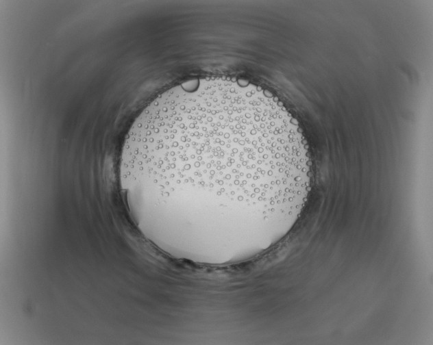 X0000113891106200910221410