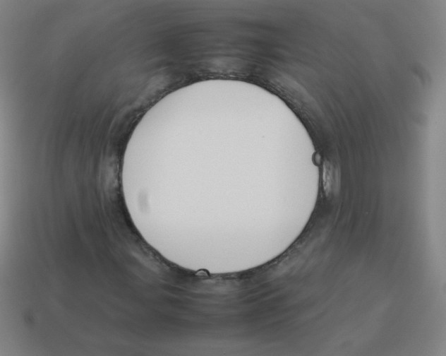X0000113891107200910221411