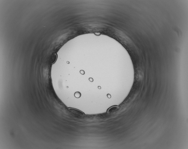 X0000113891108200910221411