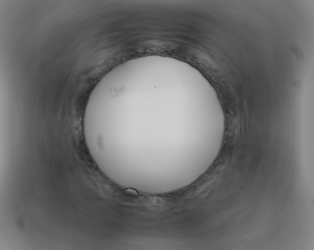 X0000113891109200910221411