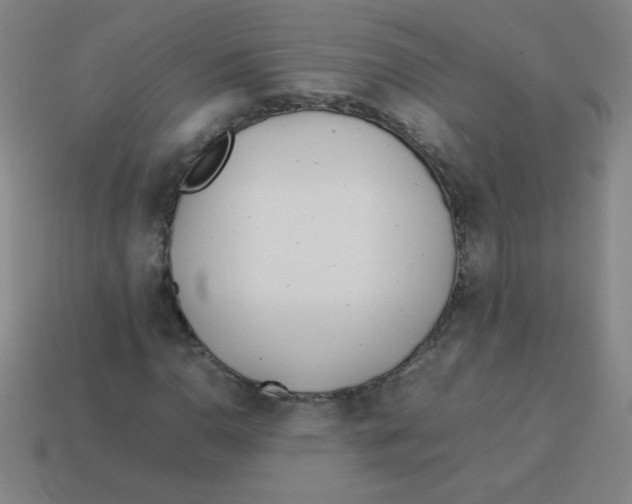 X0000113891110200910221411
