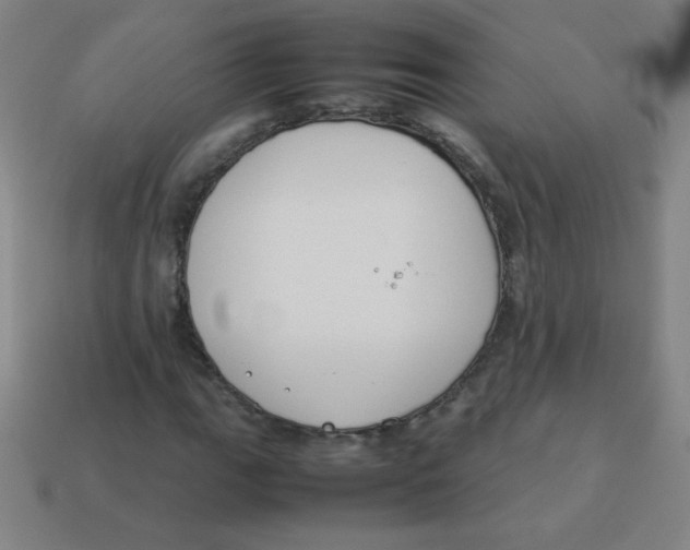 X0000113891111200910221411
