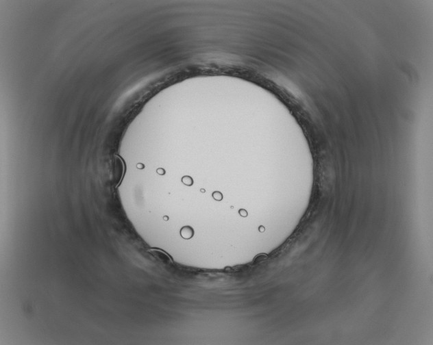 X0000113891112200910221411