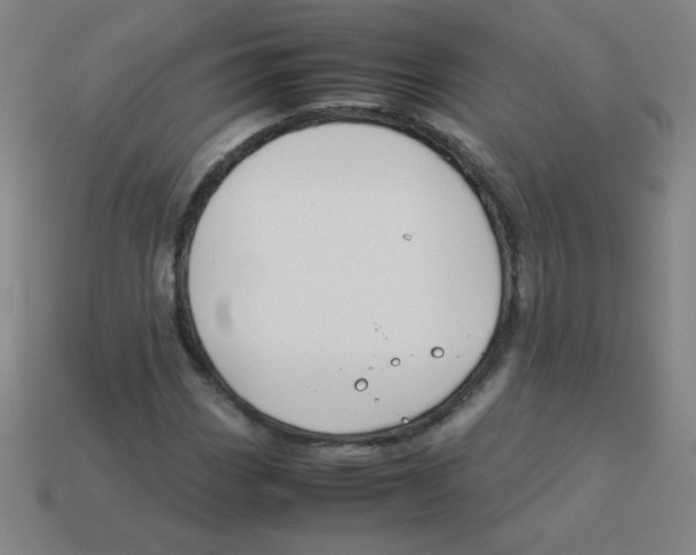 X0000113891113200910221411