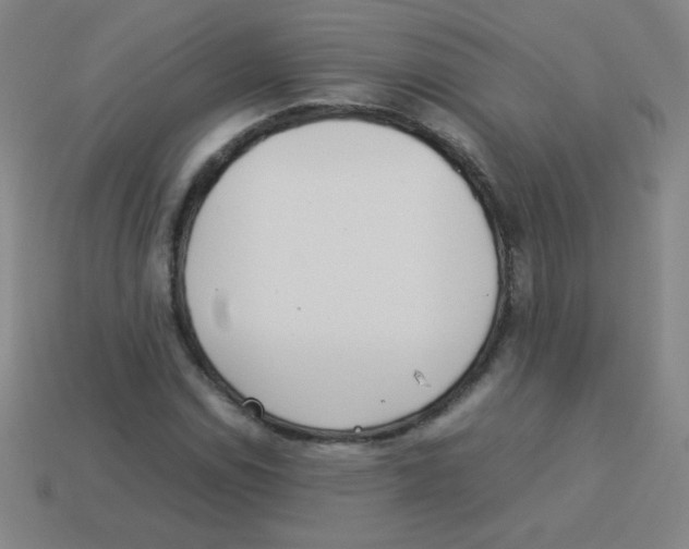 X0000113891114200910221411