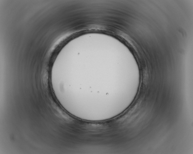 X0000113891115200910221411