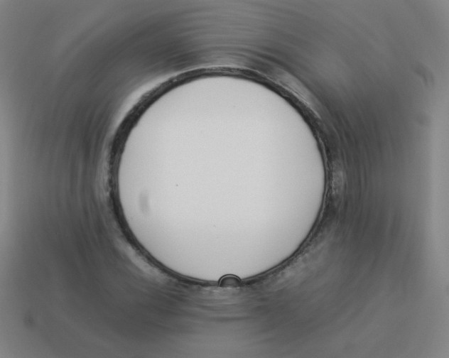 X0000113891116200910221411