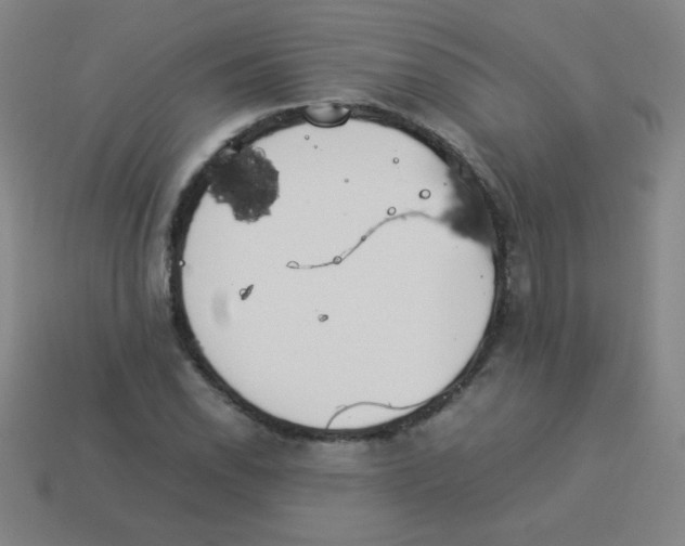 X0000113891118200910221411