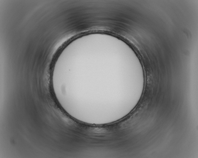 X0000113891119200910221411