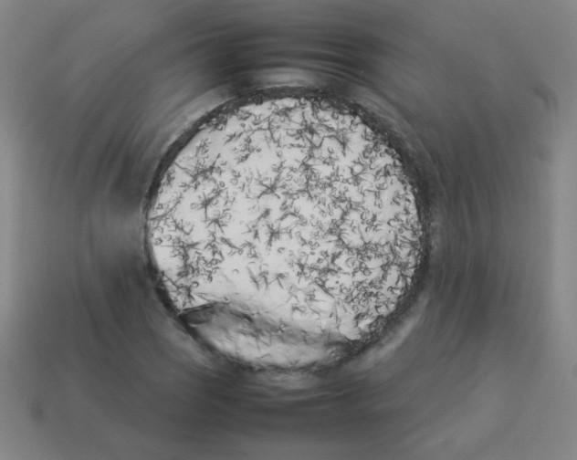 X0000113891121200910221411