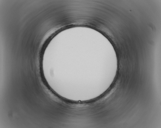 X0000113891122200910221411