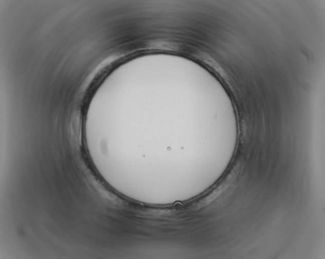 X0000113891123200910221411