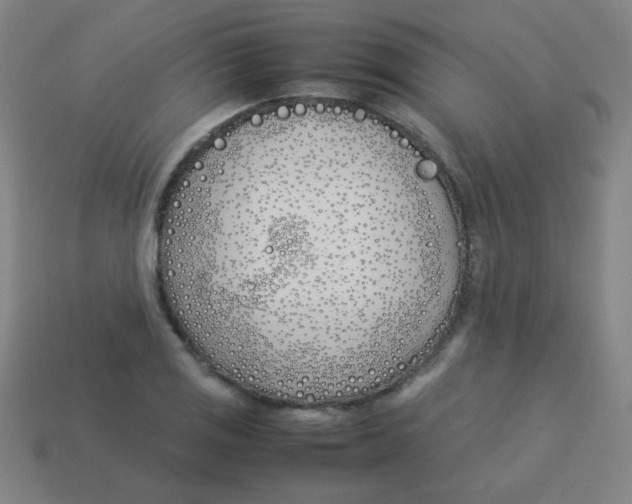 X0000113891125200910221411