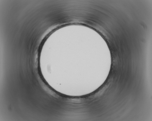 X0000113891126200910221411