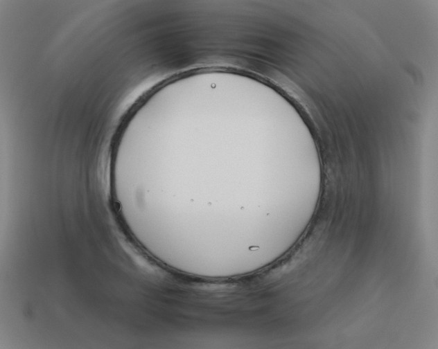 X0000113891127200910221411
