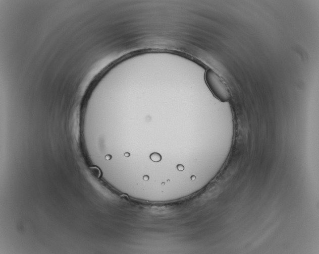 X0000113891128200910221411