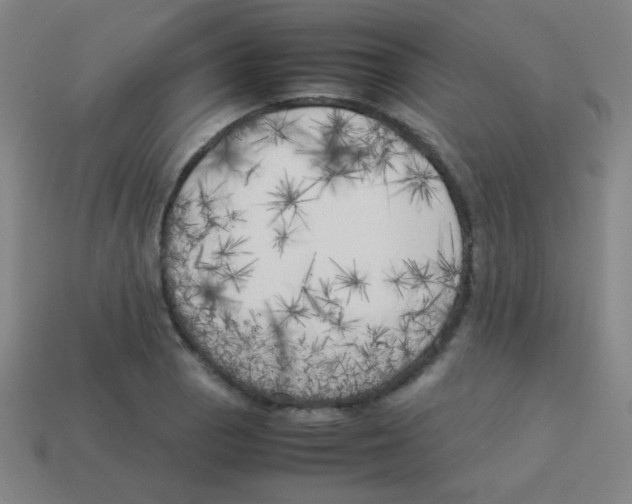 X0000113891129200910221411