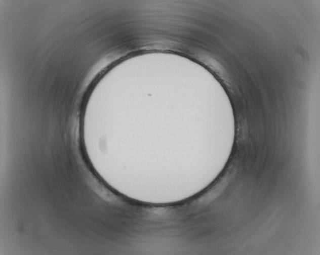 X0000113891130200910221411