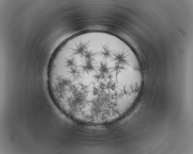 X0000113891133200910221411