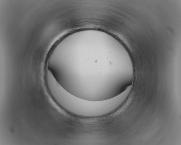X0000113891134200910221411