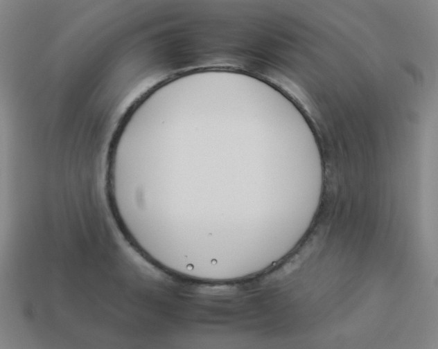 X0000113891135200910221411
