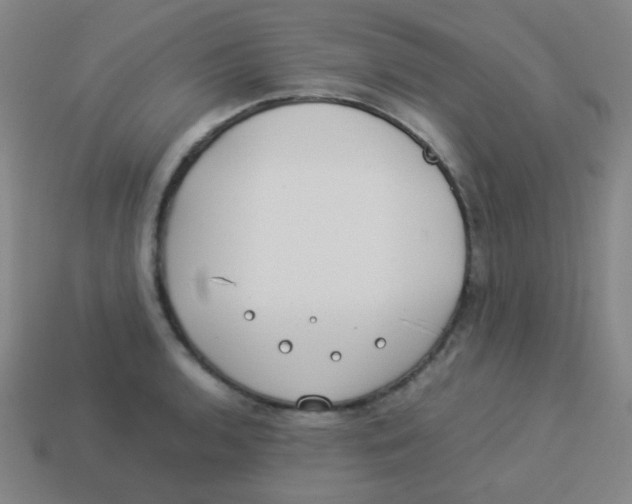 X0000113891136200910221411
