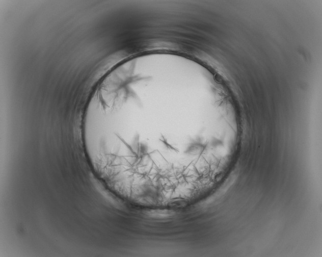 X0000113891137200910221411