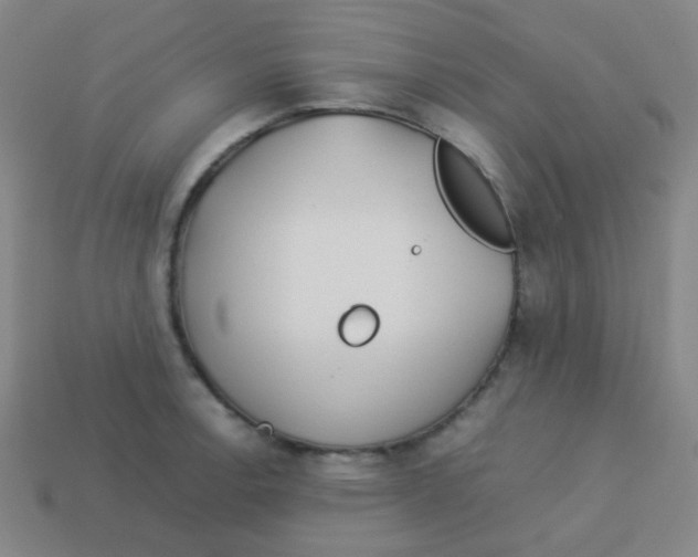 X0000113891138200910221411