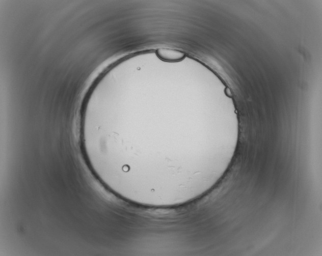 X0000113891140200910221411