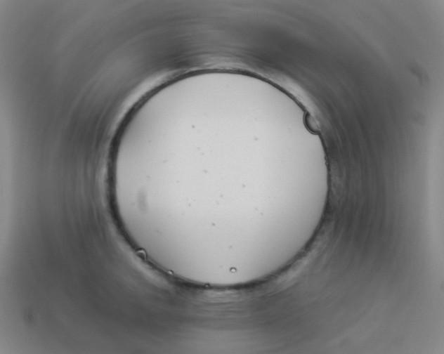 X0000113891142200910221411