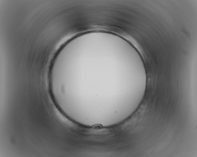 X0000113891143200910221411
