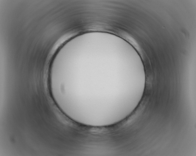 X0000113891146200910221411