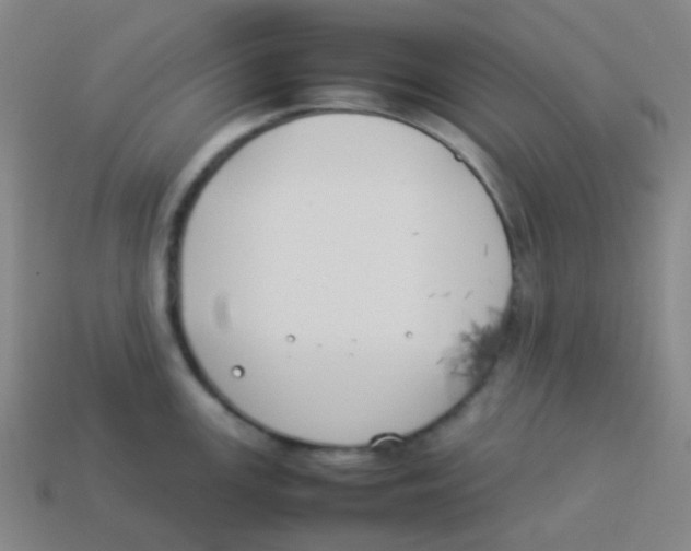 X0000113891147200910221411