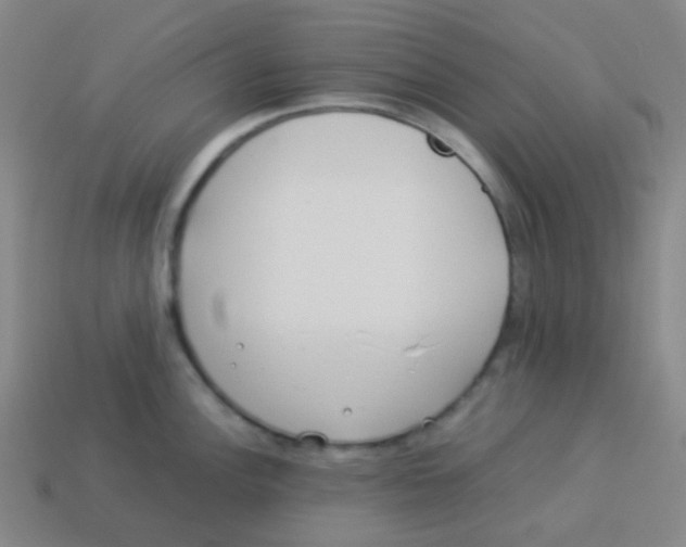 X0000113891148200910221411