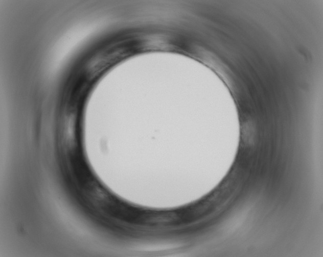 X0000113891150200910221411