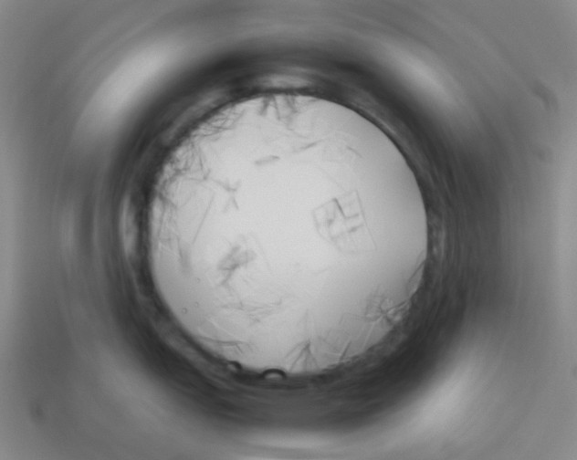 X0000113891151200910221411