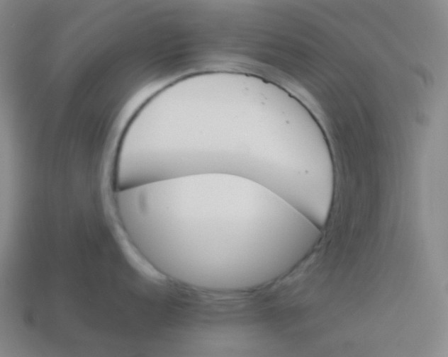 X0000113891152200910221411