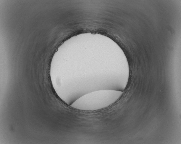 X0000113891153200910221410