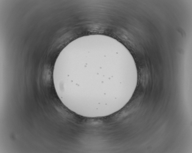 X0000113891154200910221410