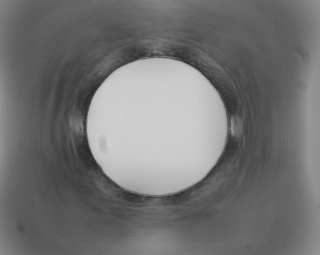 X0000113891155200910221410