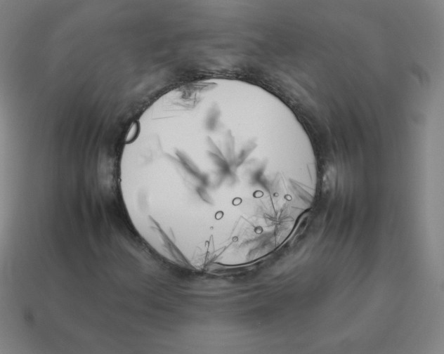 X0000113891156200910221410