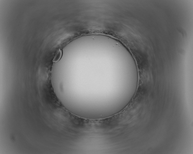 X0000113891157200910221410