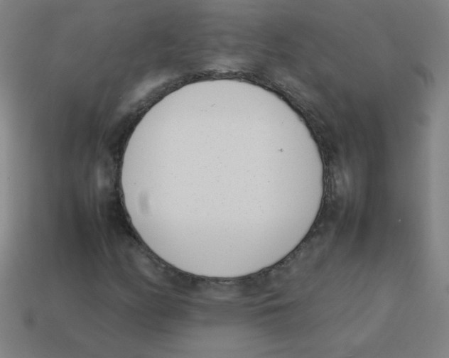 X0000113891158200910221410