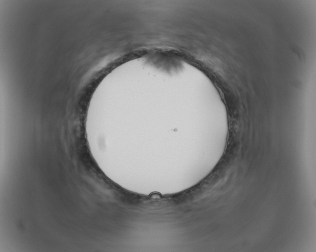 X0000113891159200910221410