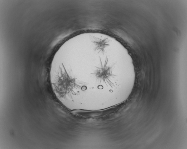 X0000113891160200910221410