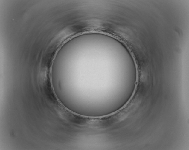 X0000113891161200910221410